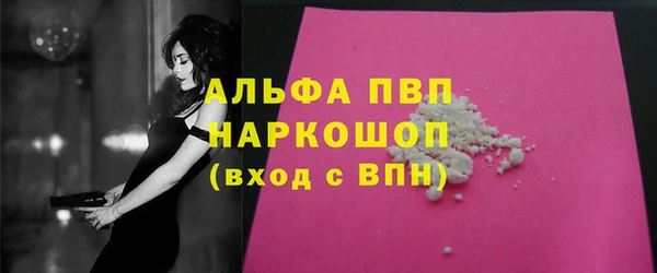 СК Богородицк