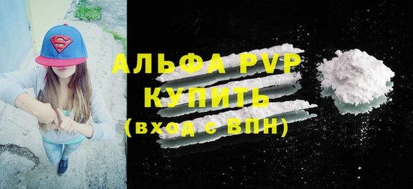 СК Богородск