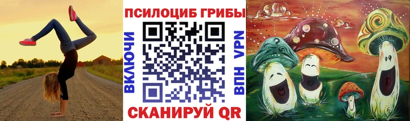 blacksprut ССЫЛКА  Уфа  Галлюциногенные грибы мицелий 